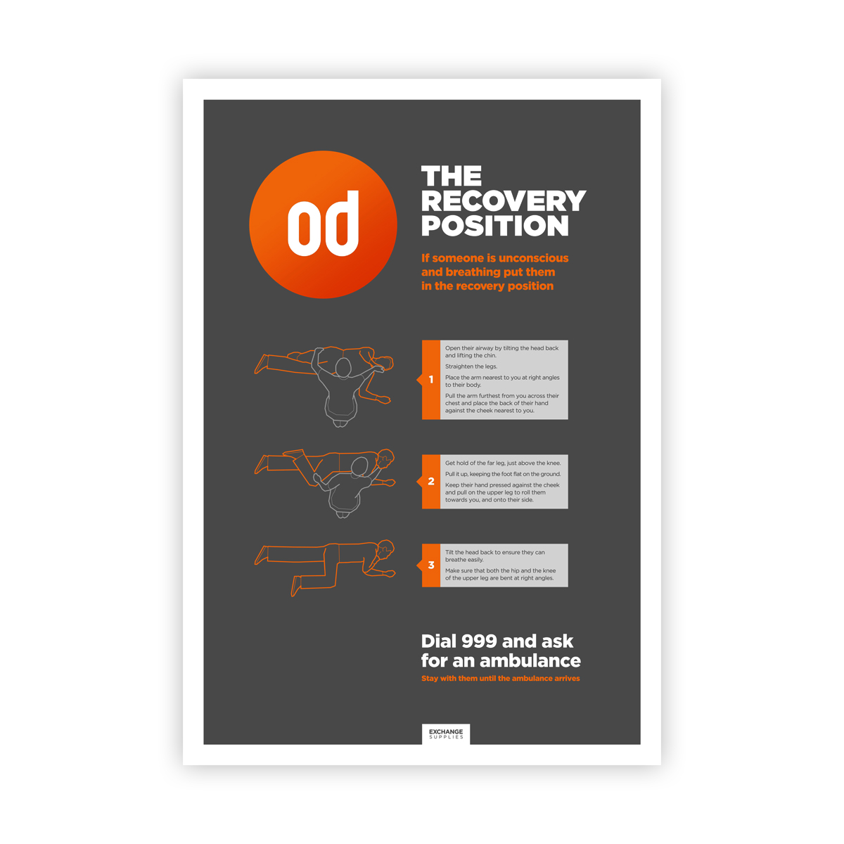 Recovery position poster (online only)