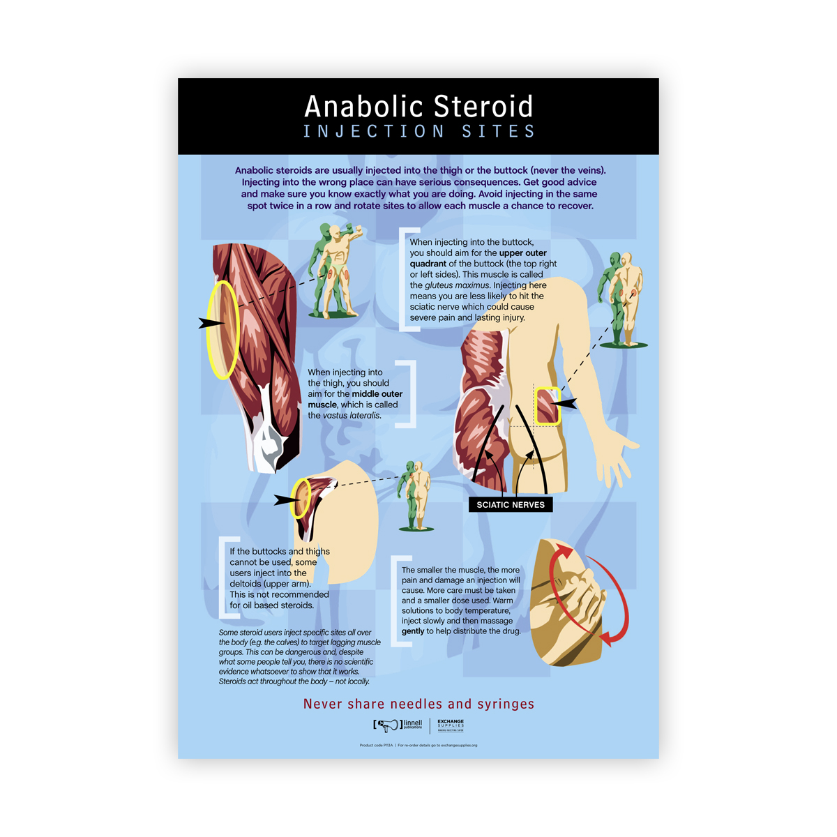 Anabolic Steroid Injection Sites Poster (Australian Edition)